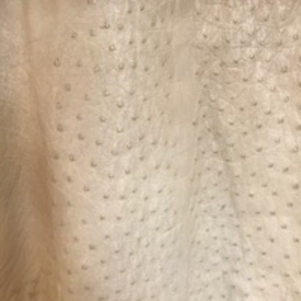 Gucci Albino Suede with Ostrich Cut Detail Coat - Picture 13 of 16